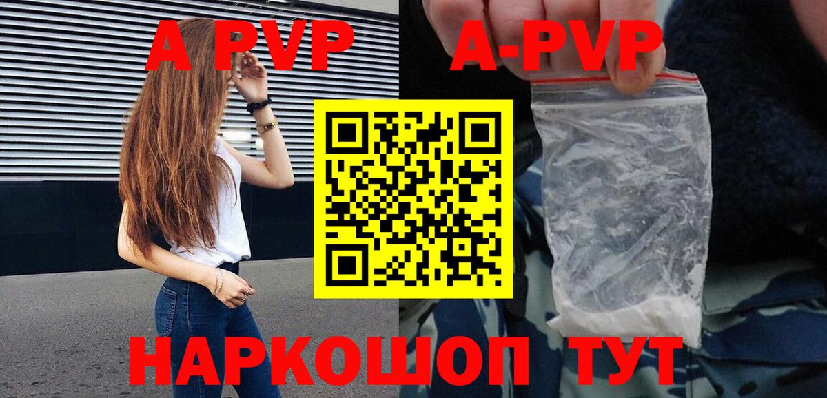 Alfa_PVP СК КРИС Майкоп