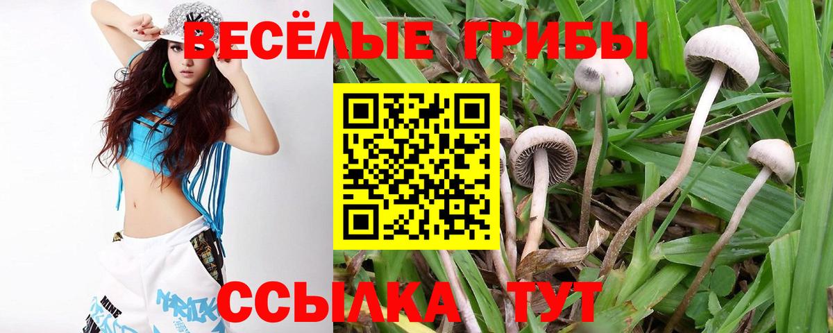 Майкоп  Галлюциногенные грибы мухоморы  сколько стоит  Вход с VPN  Псилоцибиновые грибы GOLDEN TEACHER 